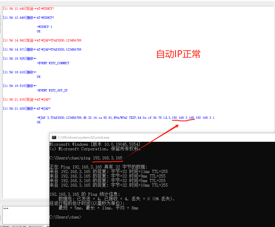 自动IP.png
